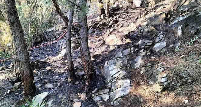 Osmaniye’deki orman yangını büyümeden söndürüldü
