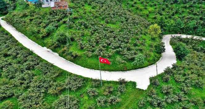 Altınordu’da beton yol çalışmaları sürüyor