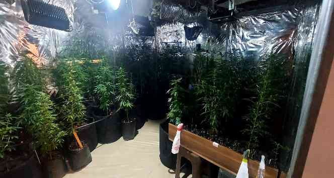 Çanakkale’de uyuşturucu operasyonu