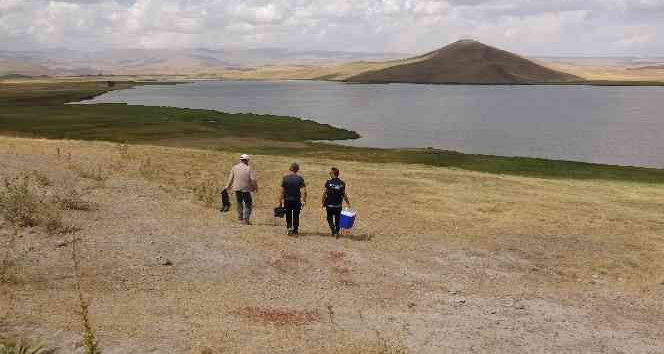 Van’ın yüksek rakımlı göllerinde ilk kez araştırma yapıldı