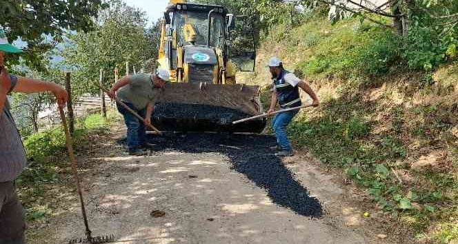 Yavuzkemal’de imece usulü hizmet seferberliği