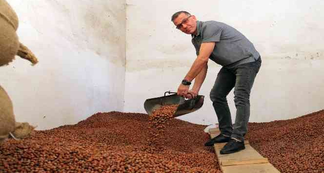 Üreticiler TMO’ya yöneldi