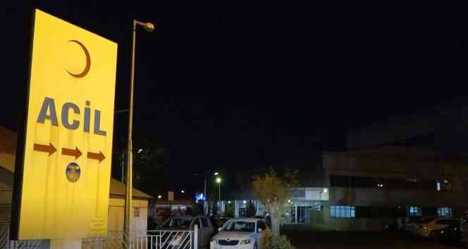 Bingöl’de yine ayı saldırısı: Yaralanan çoban hastaneye kaldırıldı