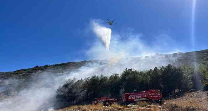 Burdur’da orman yangını