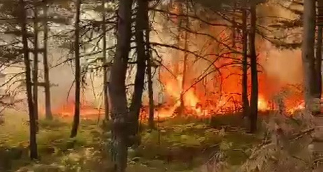 Tokatta korkutan orman yangını