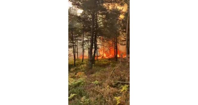 Tokat’ta korkutan orman yangını