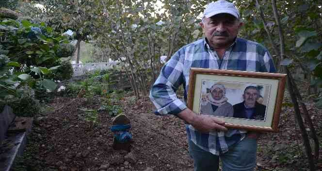 Annesinin kaybolan altın dişlerini arıyor: Getirene 2 ton fındık verecek