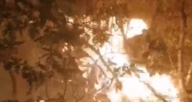 Kastamonuda orman yangını: Ekiplerin hızlı müdahalesi ile söndürüldü