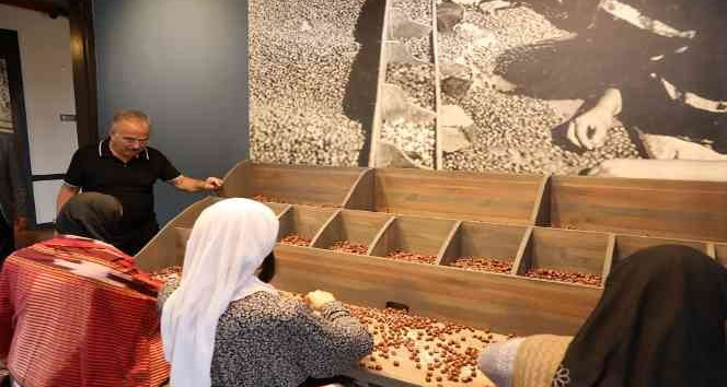Türkiye’de bir ilk: Fındık müzesi
