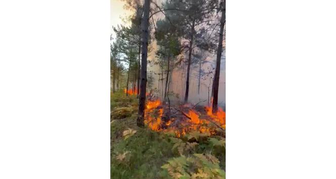 Tokat’ta aynı yerde ikinci kez orman yangını çıktı