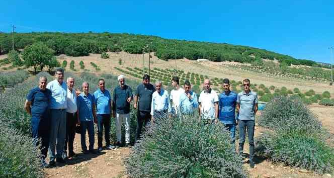 Batmanlı çiftçiler lavanta tarımı için Isparta’ya gitti