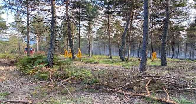 Tokat’ta aynı yerde ikinci kez çıkan orman yangını kontrol altına alındı