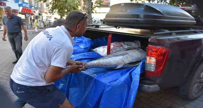 Hayali olan 100 kiloluk orkinosu Ege’de yakaladı
