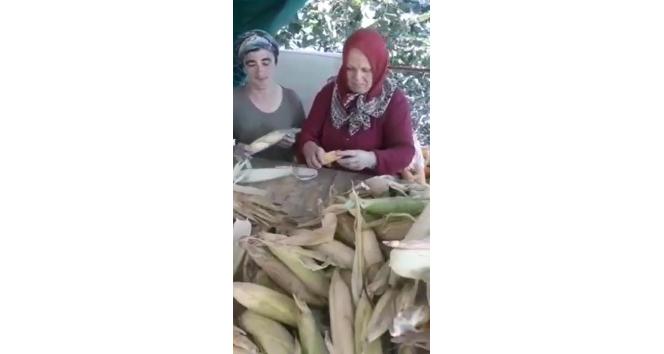 Giresun İl Tarım ve Orman Müdürlüğünden mısır unu tavsiyesi