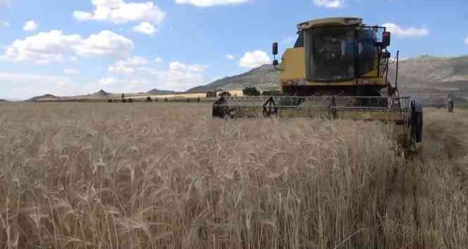 Mevzuat tamamladı, sözleşmeli tarım ve hayvancılık TBMM’ye taşınıyor