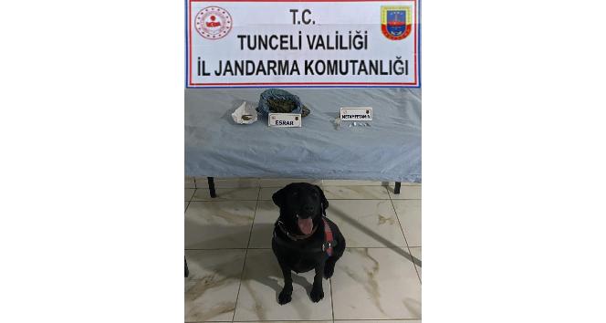 Tunceli’de uyuşturucudan 2 gözaltı