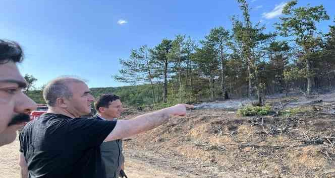 Tokat’ta 5 hektar ormanlık alan zara gördü