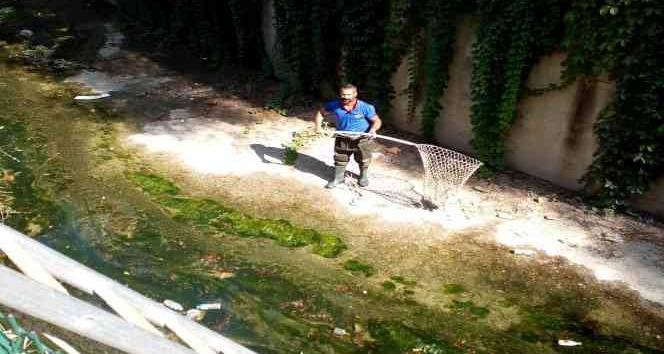 Derede mahsur kalan yavru kediyi itfaiye kurtardı