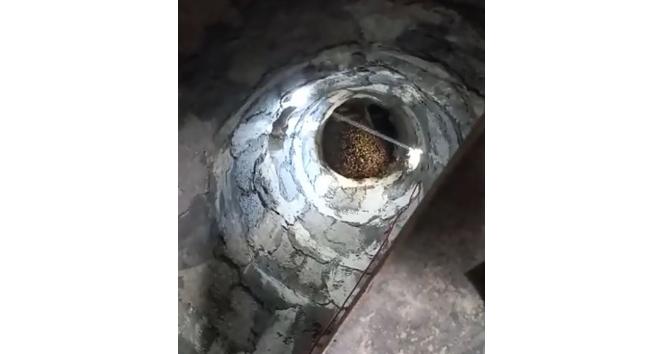Bingöl’de arılar, cami minaresine yuva yaptı