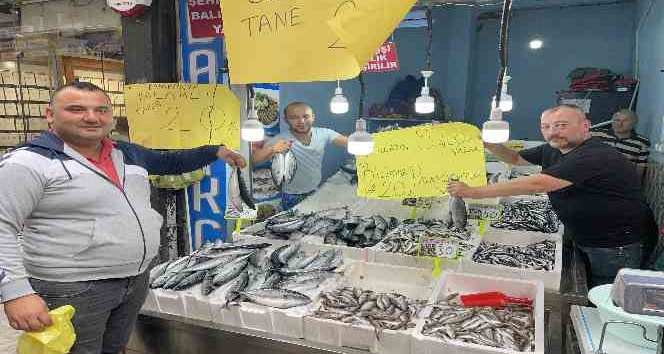 Ordu’da palamut balığını tanesi 20 liraya düştü
