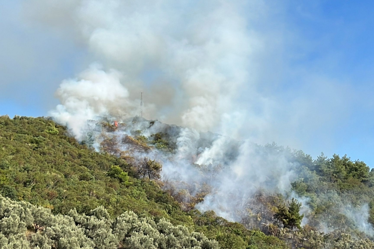 İznik&#039;teki orman yangını kontrol altına alındı