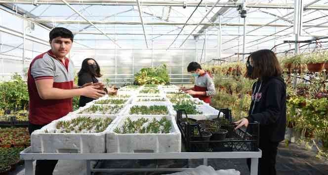 Yalova’da öğrencilerin ürettiği çiçekler e-ticaret sitesinden satılacak