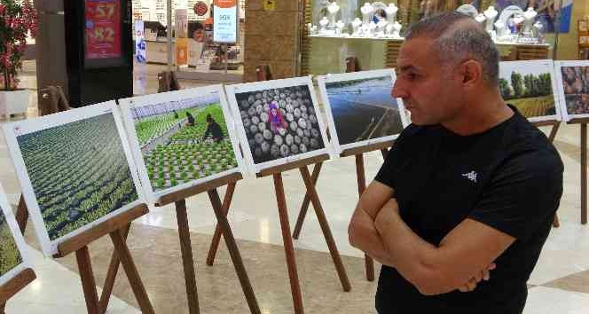 Osmaniye’de "Tarım, Orman ve İnsan" konulu fotoğraf sergisi