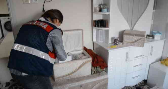 Şırnak’ta PKK/KCK operasyonu: 14 gözaltı