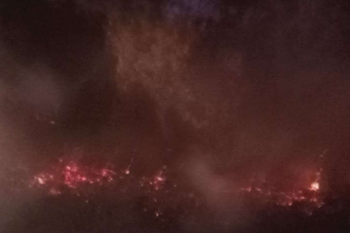 Milli Park'ta orman yangını çıktı, facia ucuz atlatıldı