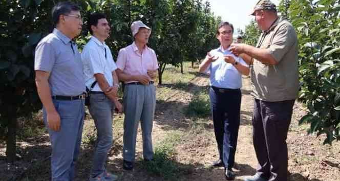 Yalova’ya gelen Güney Kore heyetinden araştırma enstitüsünde inceleme