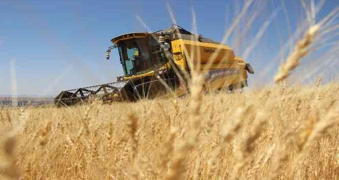 TMO, Sivas’ta Cumhuriyet tarihinin en yüksek alımını yaptı