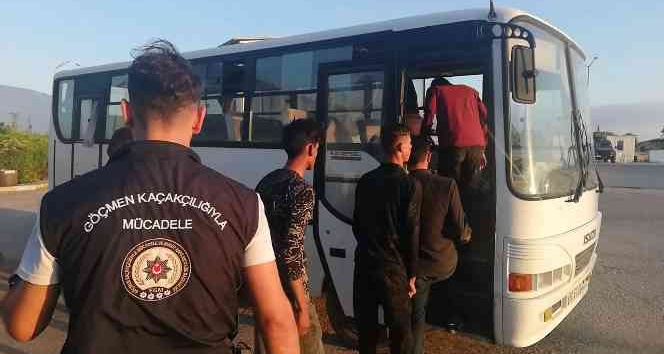 Osmaniye’de 6 düzensiz göçmen yakalandı