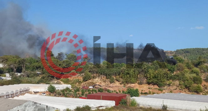Antalya Kumlucada orman yangını çıktı