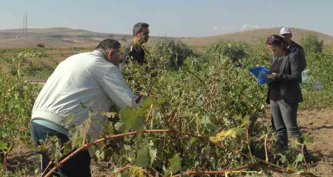Selin hasarı gün ağarınca ortaya çıktı