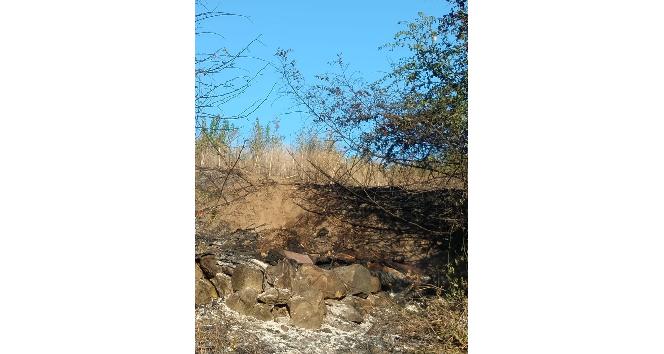 Bahçesindeki otları temizlemek için ateş yaktı, alevlerin arasında kalıp hayatını kaybetti