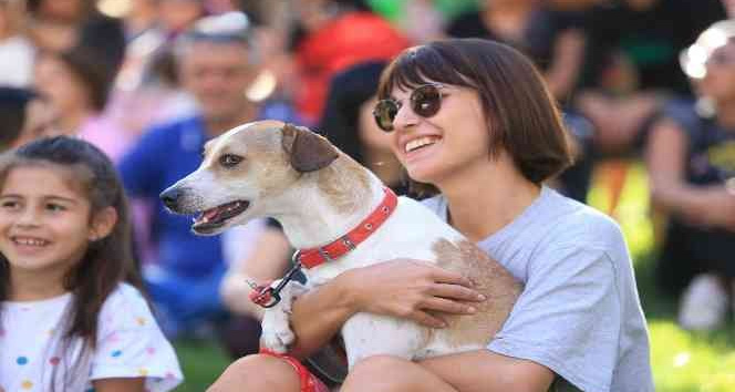 En güzel patiler Pamukkale’de belirlendi