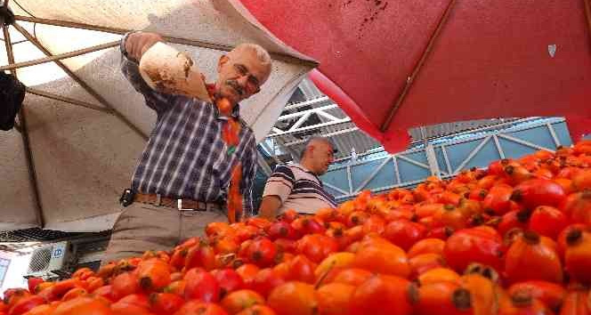 Dalından sofraya kuşburnunun lezzet yolculuğu