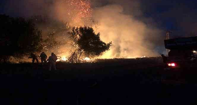 Trafodan ormanlık alana sıçrayan yangın büyümeden söndürüldü