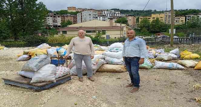 Ordu’da toptan elma alımları sürüyor