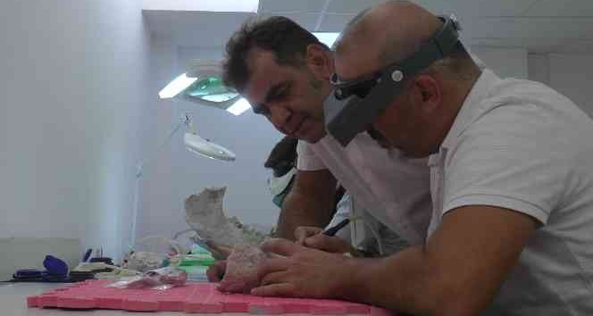 Yol yapımı sırasında tesadüfen ortaya çıktı, 7 buçuk milyon yıllık fosiller bulundu