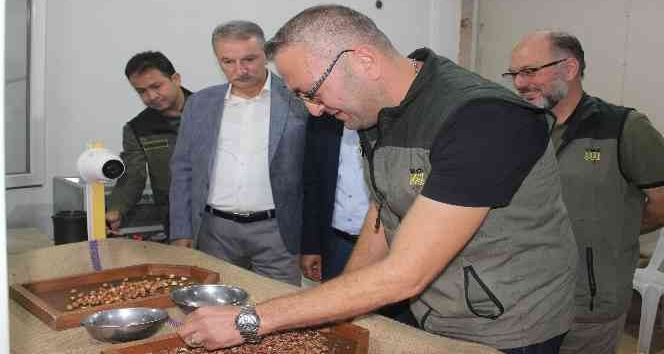 TMO Genel Müdürü Güldal: "Fındığın tamamını almak için hazırlandık"