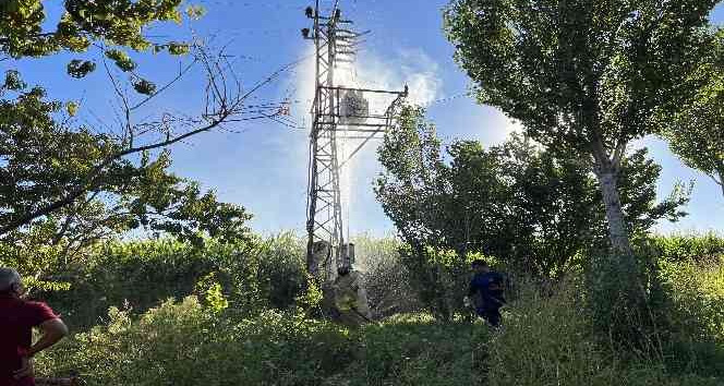 Mardin’de patlayan trafo alevlere teslim oldu