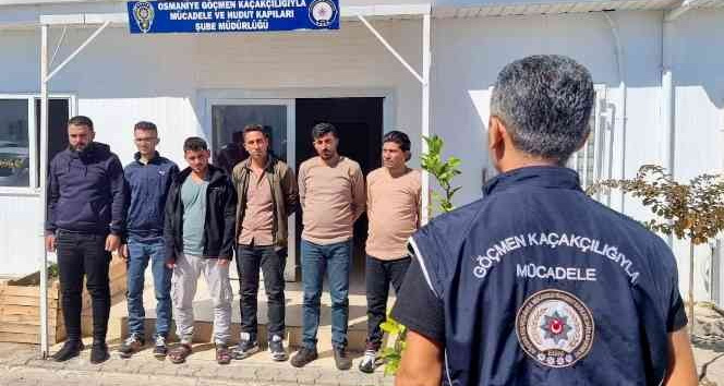 Osmaniye’de 6 düzensiz göçmen yakalandı