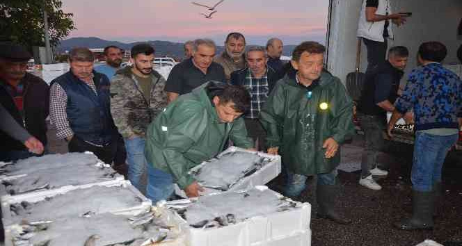 Balıkçıların gün doğmadan başlayan ’hal’ mesaisi