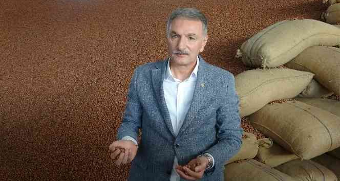 TMO Genel Müdürü Güldal’dan fındıkta serbest piyasa açıklaması