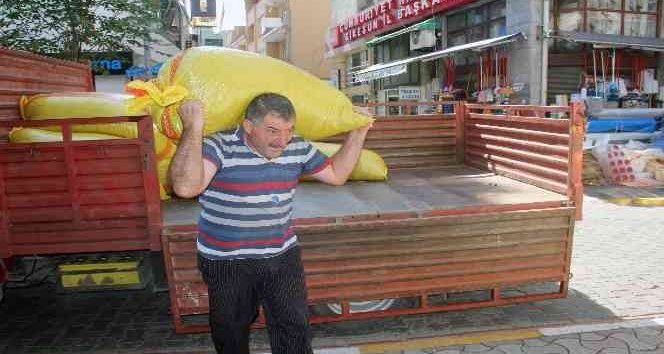 Serbest piyasada fındık fiyatı düşüşe başladı