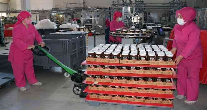 FİSKOBİRLİK hem üretime hem de istihdama katkı sağlıyor