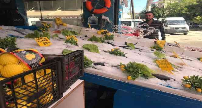 Iğdır’da balıklar tezgahtaki yerini aldı