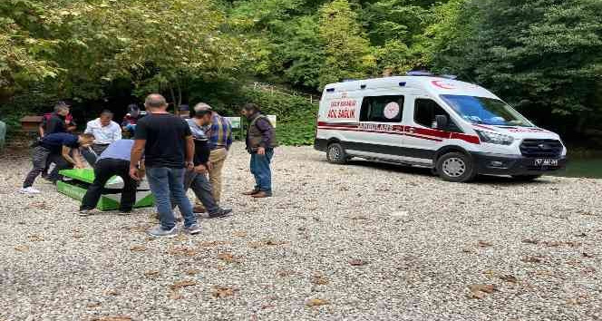 Sinop Erfelek Şelaleleri’nde ağaç devrildi: 2 ölü, 1 yaralı