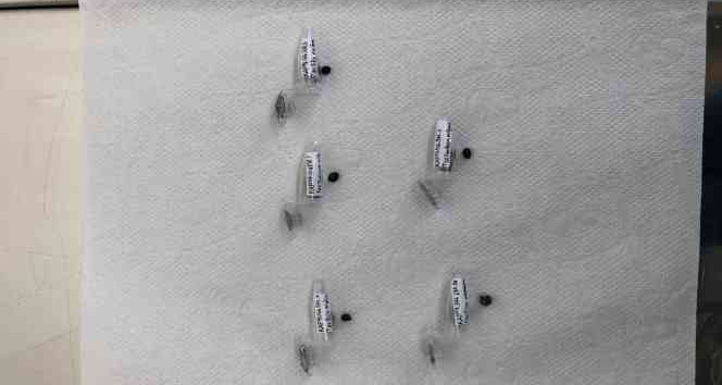 KAEÜ Araştırma Görevlisi Tohum DNA Projesiyle A artı puan aldı